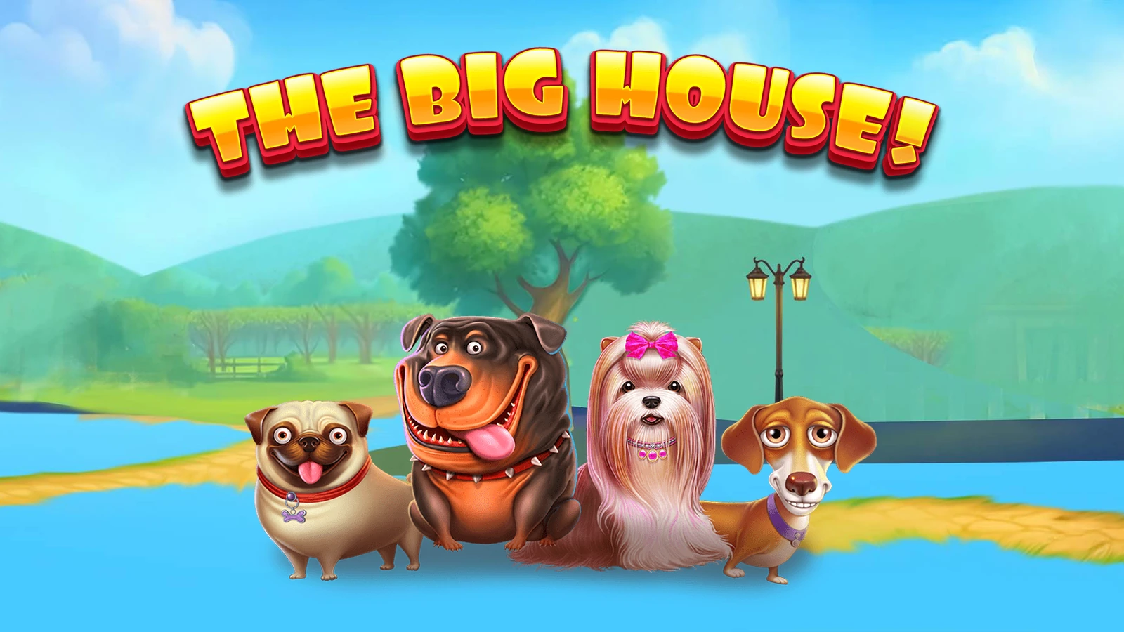 The Big Dog House